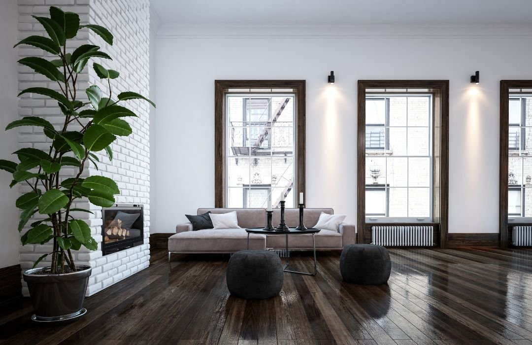 indoor-plant-image