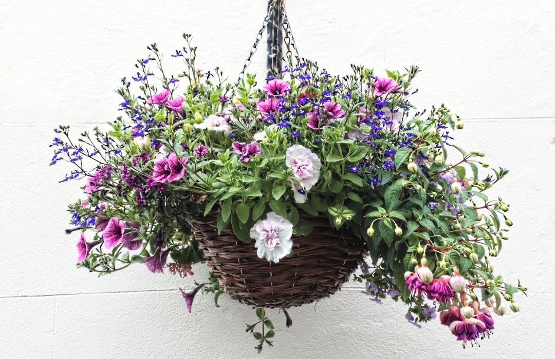 baskets-with-exciting-colors-patterns-and-designs